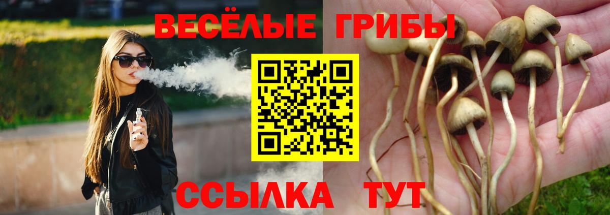 Псилоцибиновые грибы Cubensis  Вход с VPN  Псилоцибиновые грибы Psilocybe  Ачхой-Мартан 
