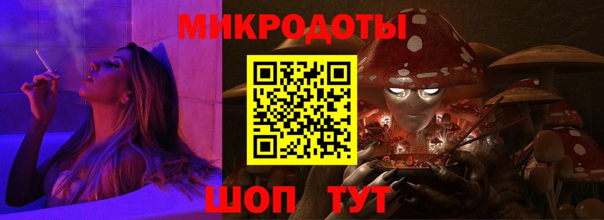 Псилоцибиновые грибы Ачхой-Мартан