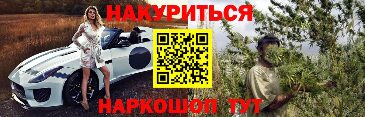 Бошки марихуана AK-47  Вход с VPN  Марихуана White Widow  Ачхой-Мартан  Канабис сатива 